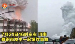 河南都市爆料焦作事件最新,揭秘背后真相与影响
